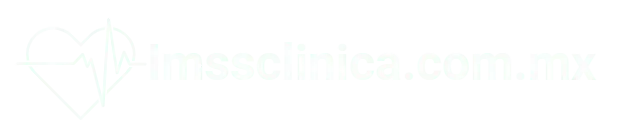 imssclinica.com.mx